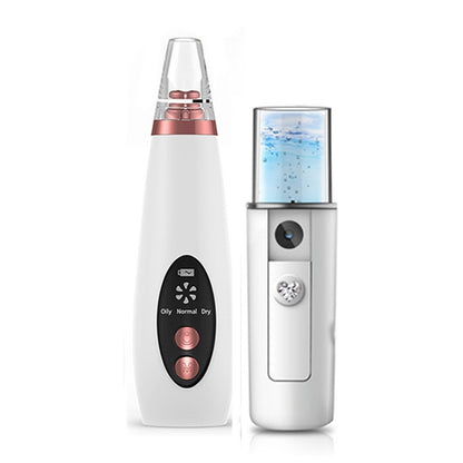LED Color Light Therapy Facial Beauty Device