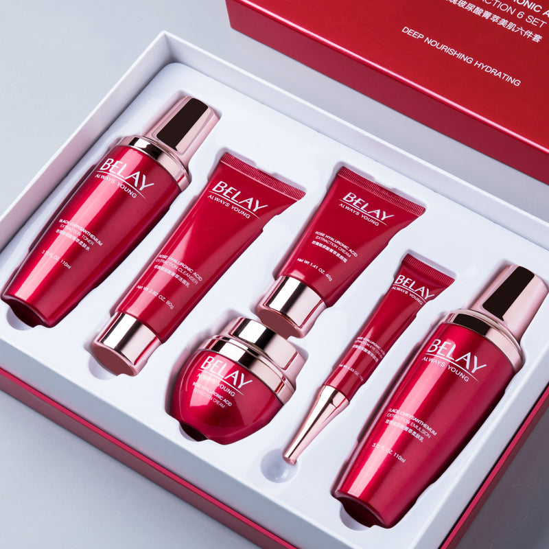 Professional Facial Beauty Care Cosmetics Set